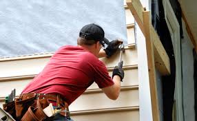 Best Steel Siding Installation  in Tusculum, TN